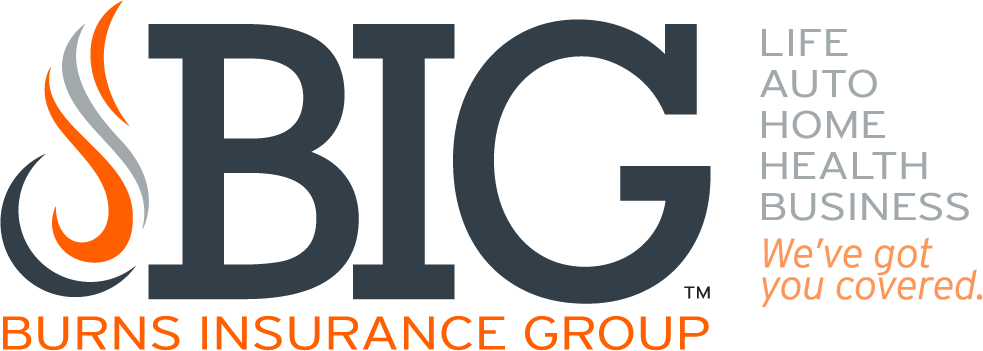 Burns Insurance Group